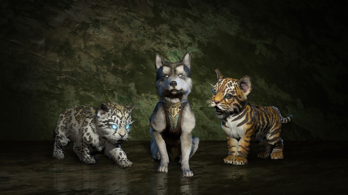 Forget the Spiritborn, Vessel of Hatred’s Best New Class is Crazy Cat Lady