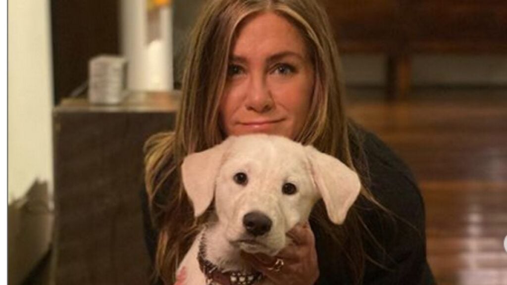 Jennifer Aniston poses with one of her dogs in an Instagram photo.