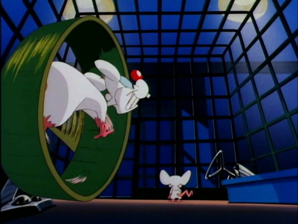 Pinky and The Brain Intro