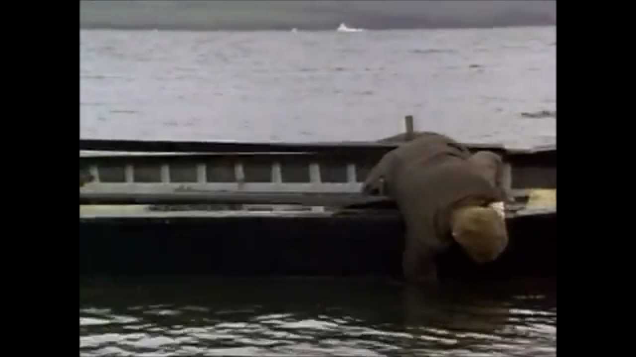 The Secret of Roan Inish - Trailer