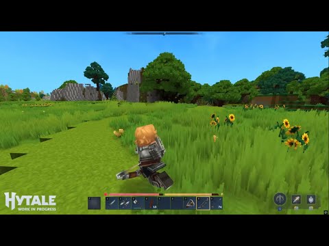 100 PLAYER PUBLIC HYTALE SERVER!