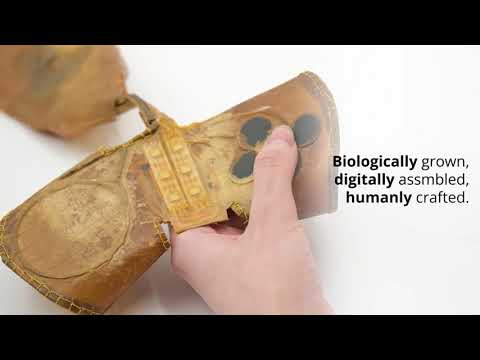 BioHybrid Device – Grown Technology