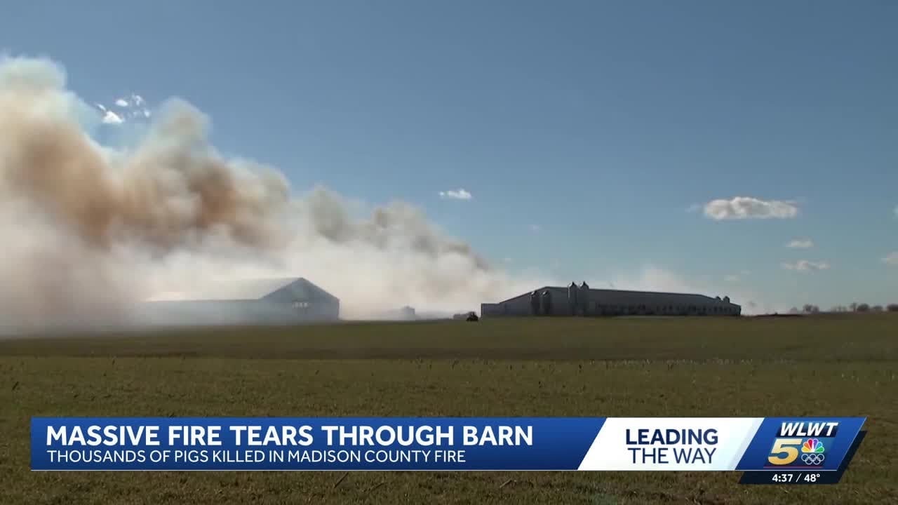 Fire at Ohio farm leaves around 6,000 hogs dead, smoke visible for miles