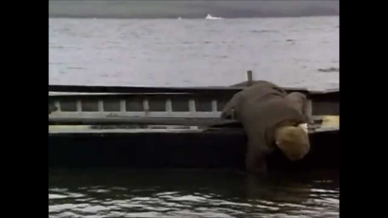 The Secret of Roan Inish - Trailer