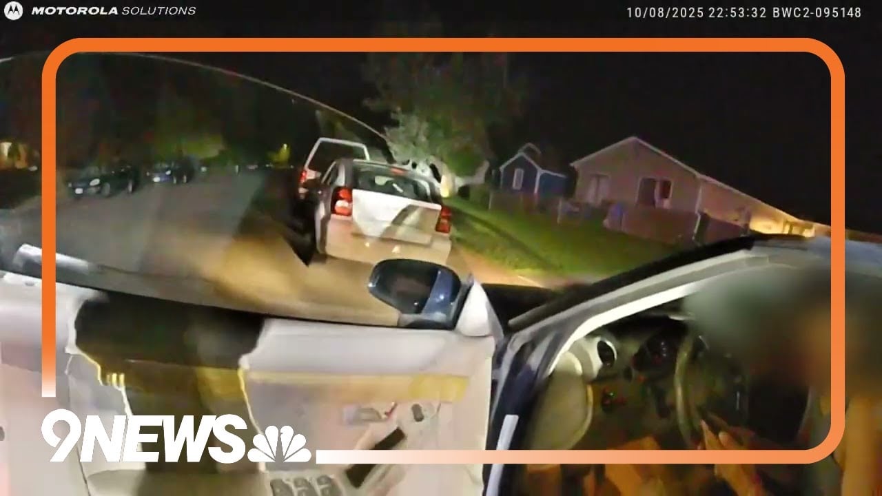 Body camera video shows officer tasing man during traffic stop