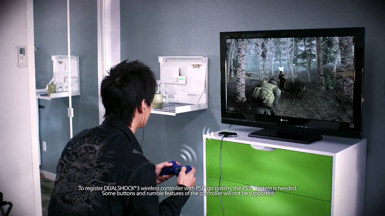 PSPgo- Accessories and Peripherals