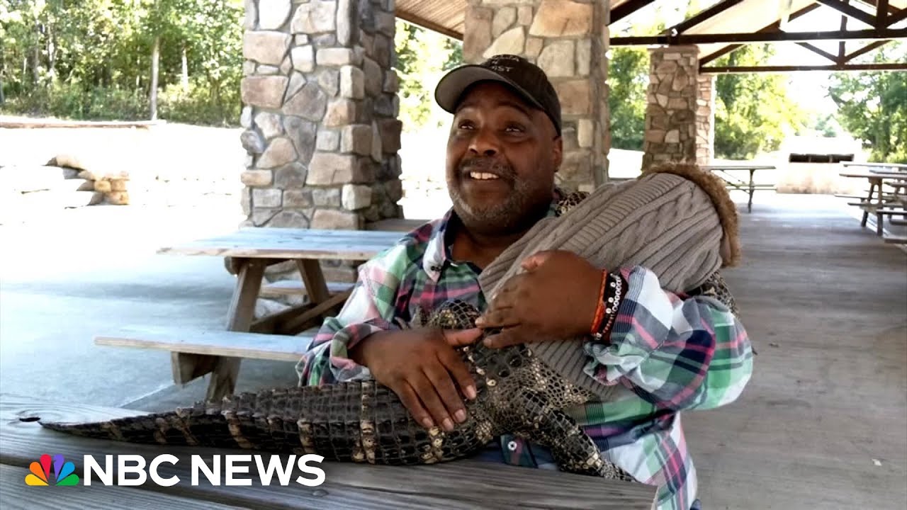 Walmart bans emotional support alligator