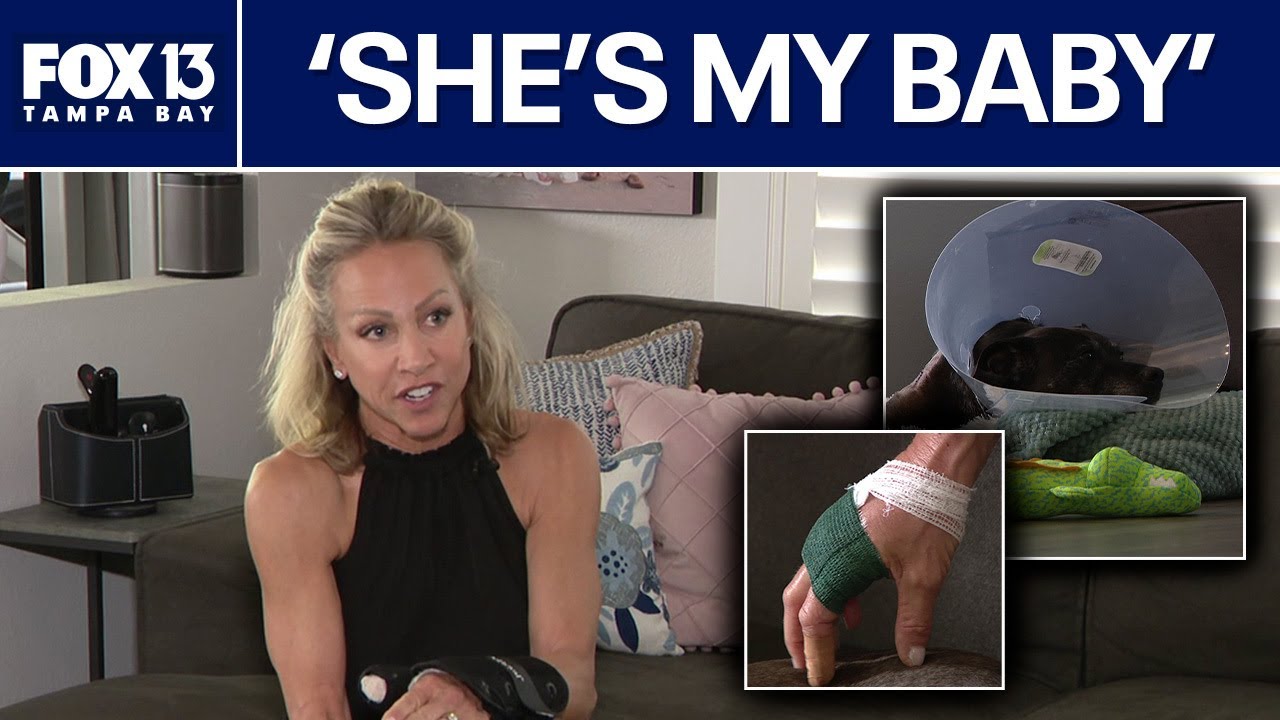 Florida woman pries dog out of gator's jaw