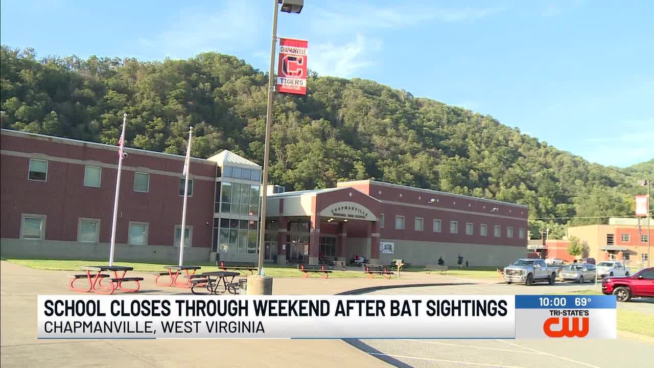 School closes through weekend after bat sightings