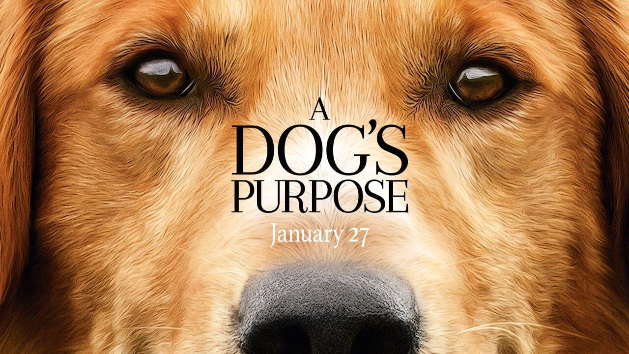 a dogs purpose series