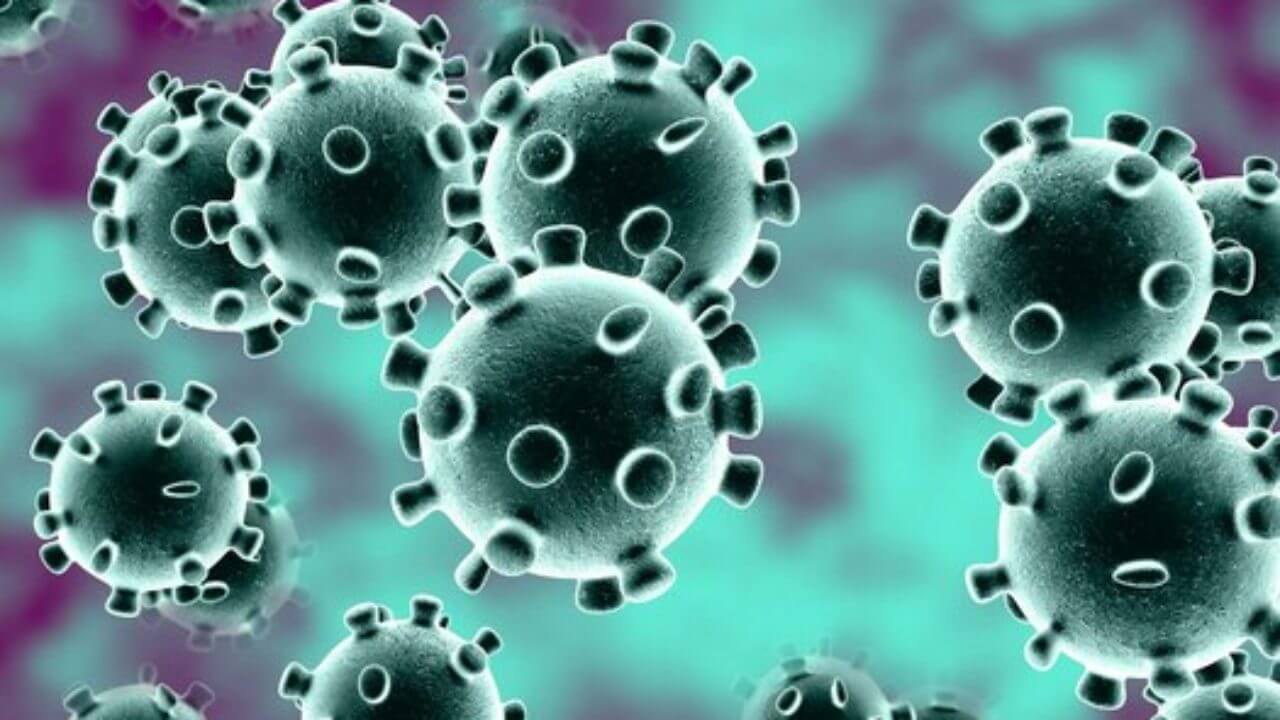 coronavirus