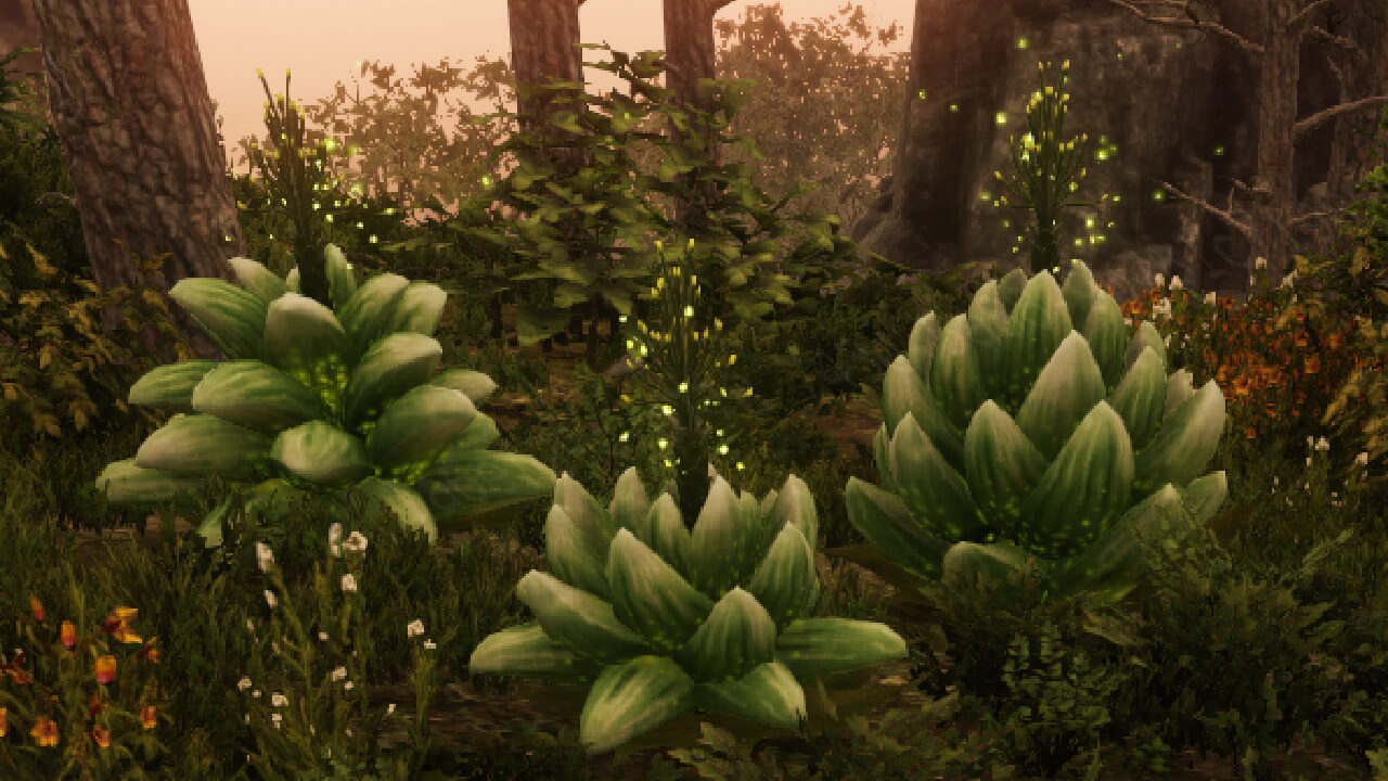 New World: Petalcap Location