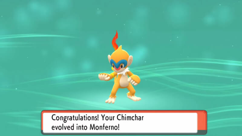 Pokémon BDSP Evolve Chimchar