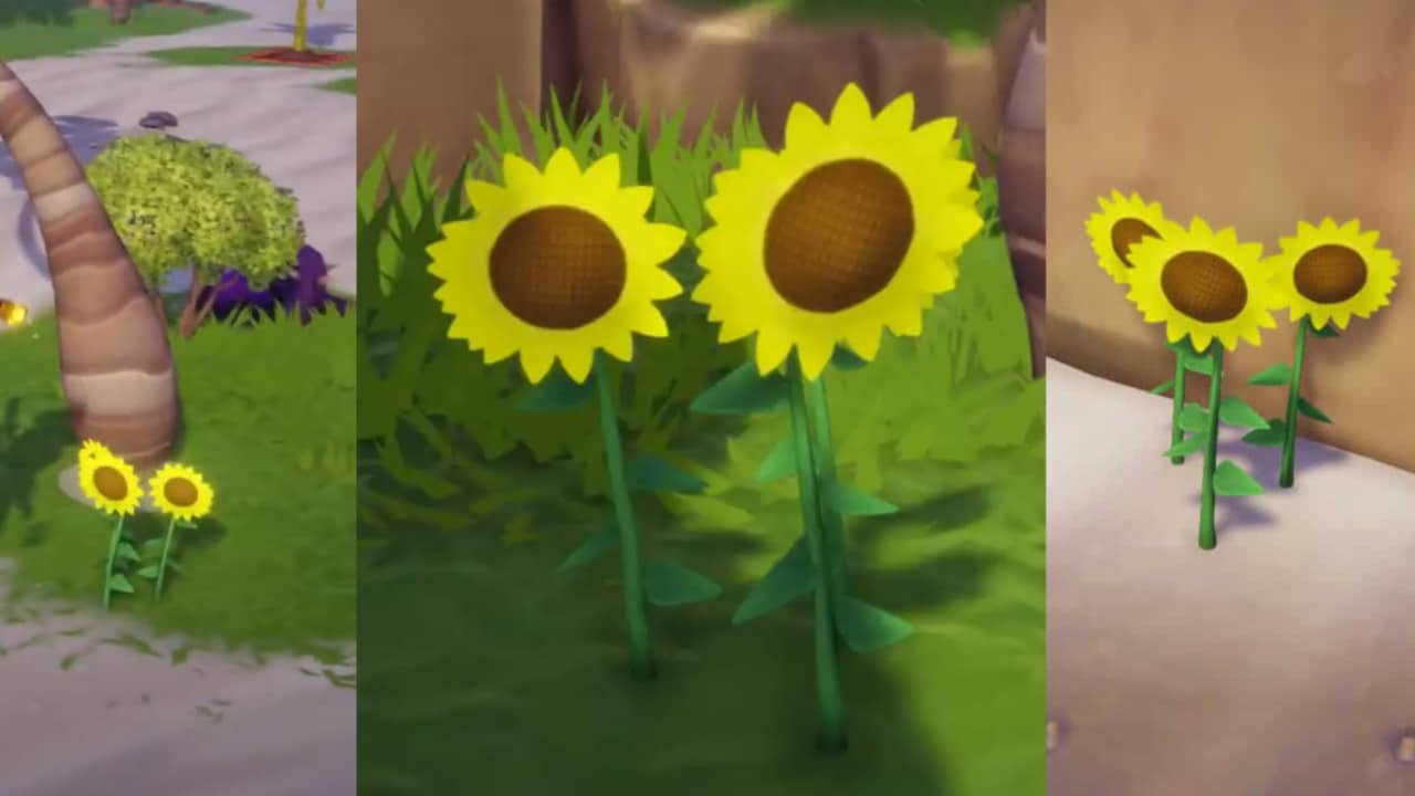 Where to Find Sunflowers in Disney Dreamlight Valley