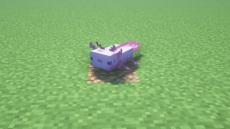 Axolotls cannot survive without water in minecraft