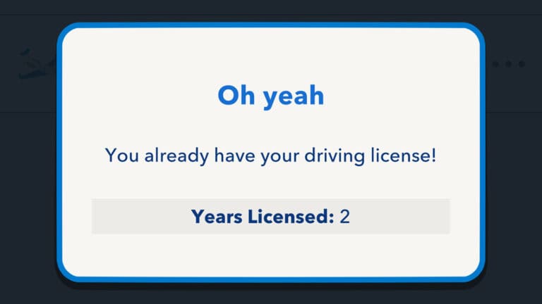 BitLife Driving Test Answers