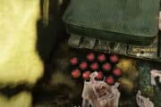 Fallout 76: How to Get Mothman Eggs