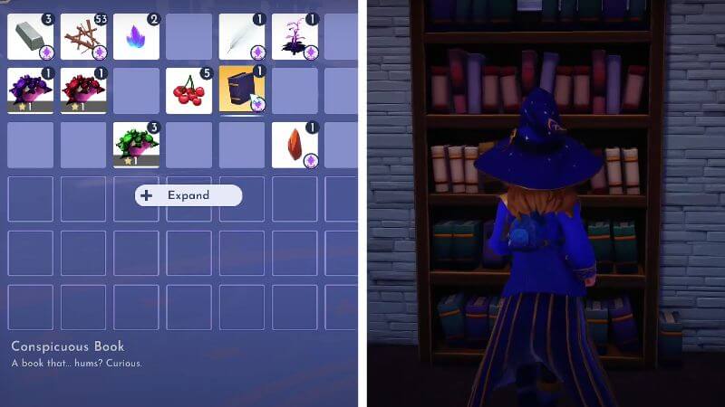 How to Use the Conspicuous Book in Disney Dreamlight Valley