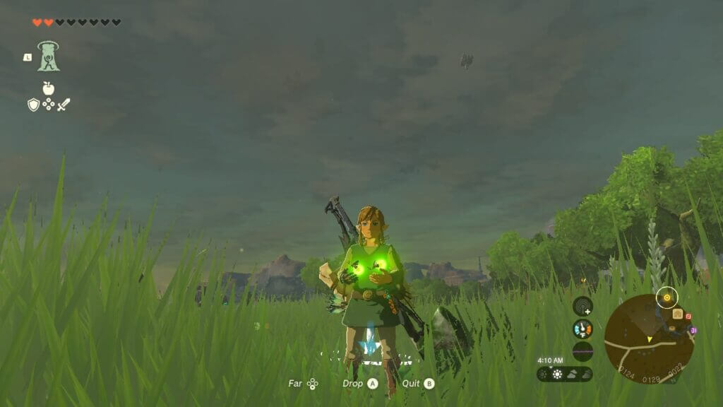 How To Get Sunset Fireflies in Zelda Tears of the Kingdom Sunset Fireflies