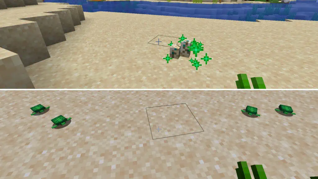 How To Breed Turtles in Minecraft