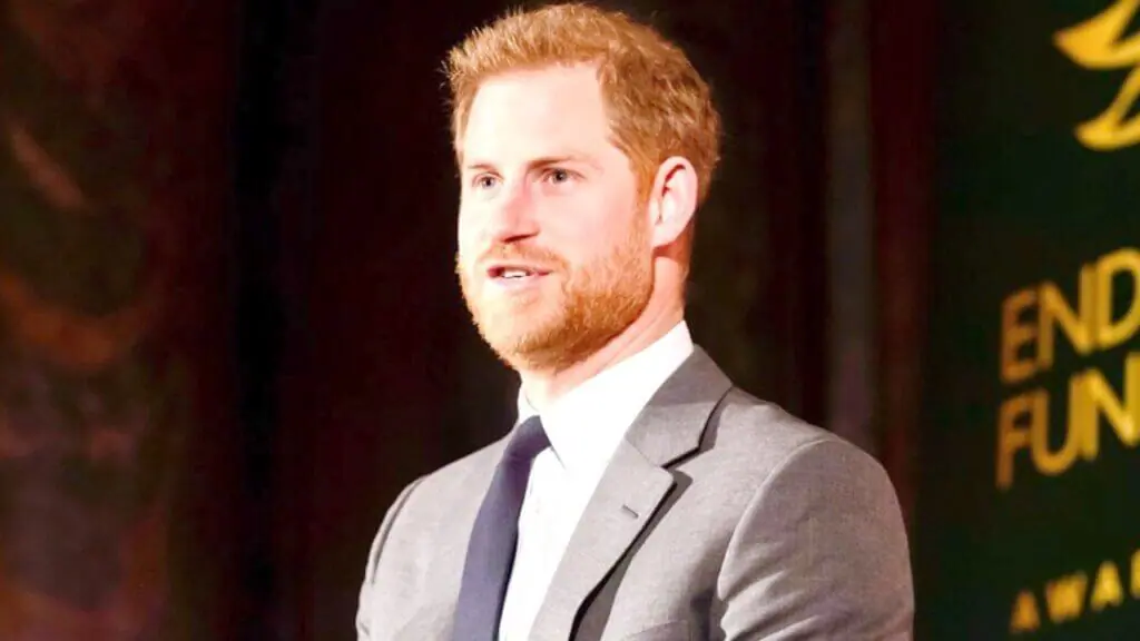 The Duke of Sussex Prince Harry