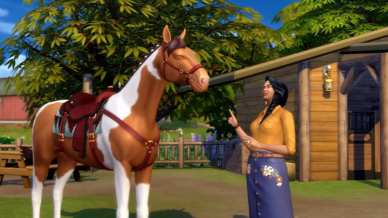 Patch Notes for The Sims 4 Update - Cinematic Footage