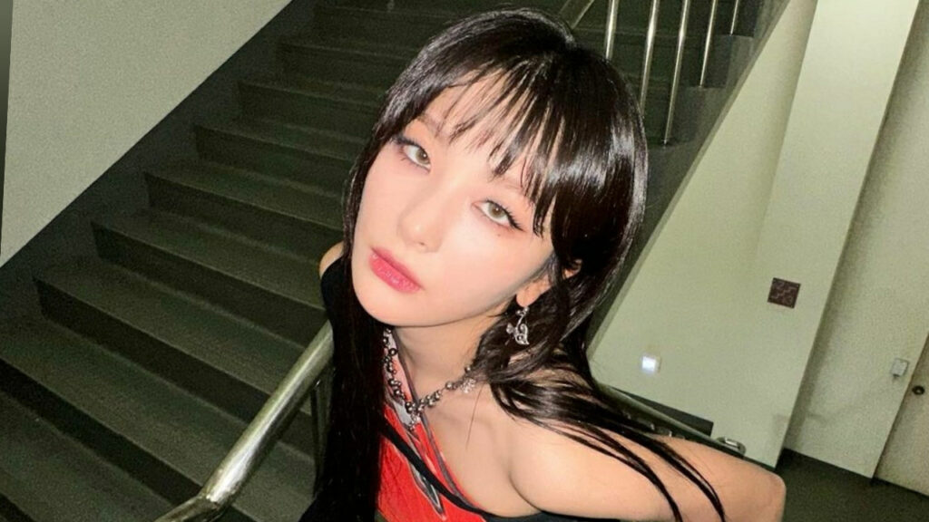 Red Velvet's Seulgi attends BLACKPINK's Seoul concert