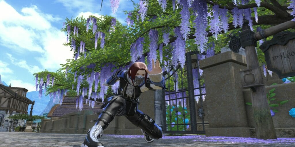 Ninja