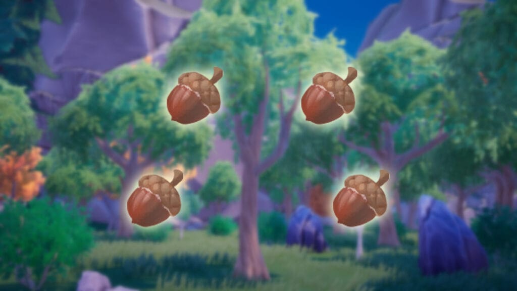 How To Get (& Use) Acorn in Palia Palia Acorn