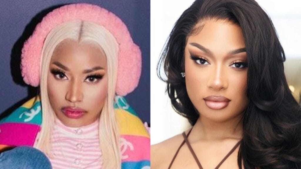 Nicki Minaj and Megan Thee Stallion, Nicki Minaj diss song