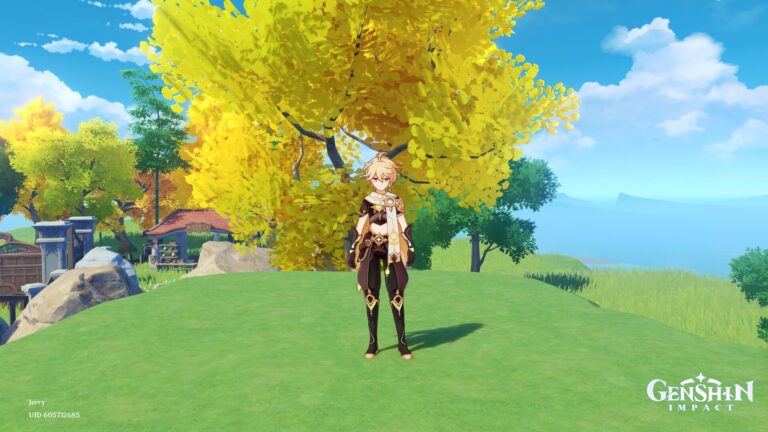 Genshin Impact: All Traveler Forms Ranked From Worst to Best Genshin Impact traveler