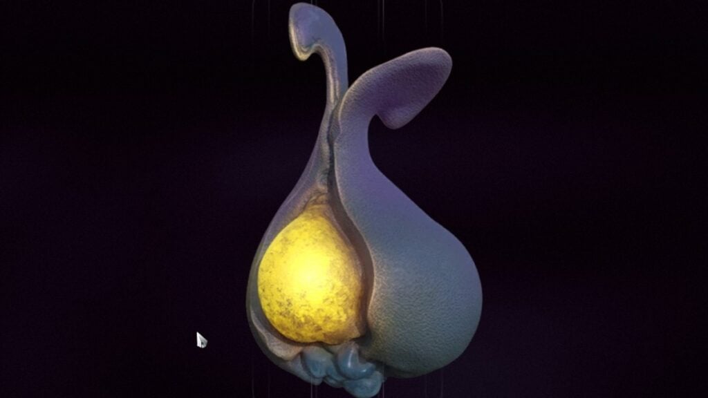 Warframe Yao Shrub icon