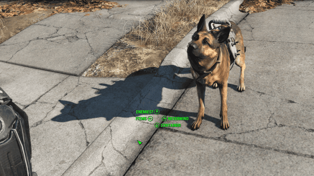 Dogmeat's dialogue prompt showing fetch options