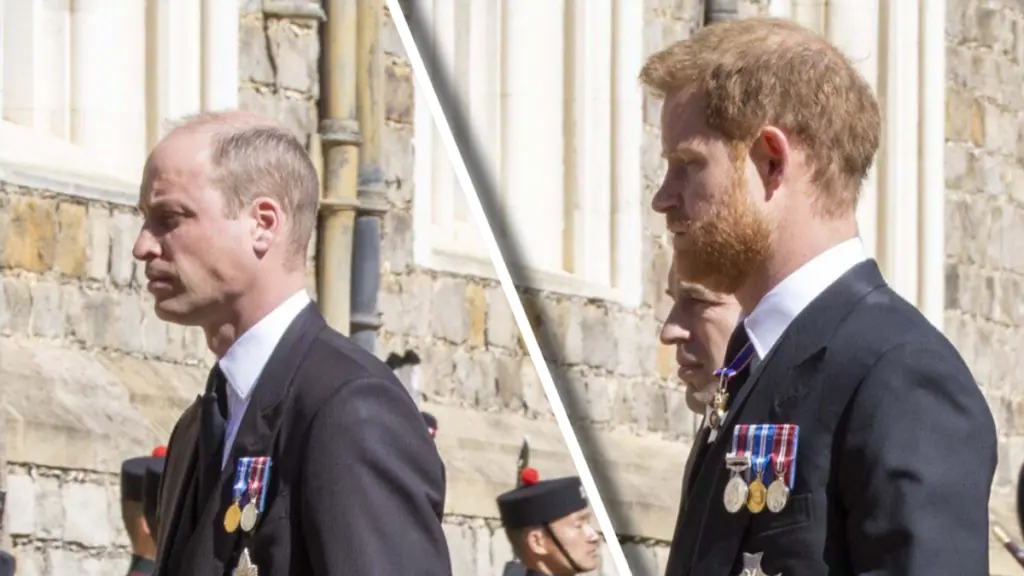 Prince William and Prince Harry