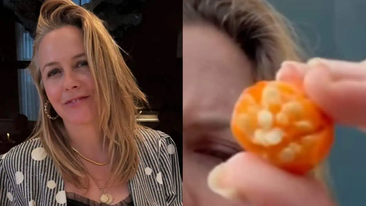 Alicia Silverstone Goes Offline After Eating Poisonous Fruit