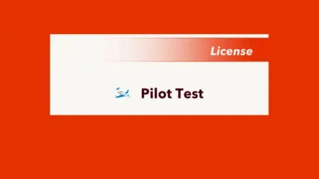 BitLife: All Pilot Test Answers