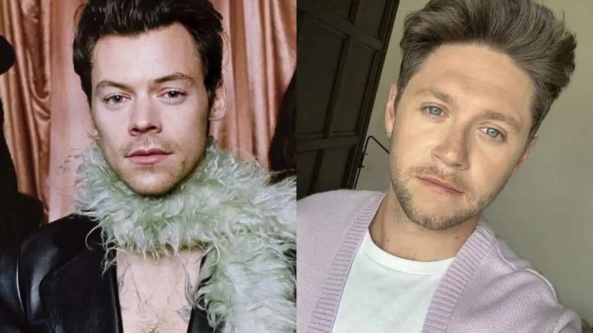 Harry Styles and Niall Horan Spark Rumors of A One Direction Reunion