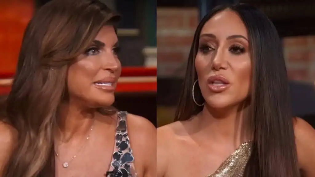 Teresa Giudice - Melissa Gorga