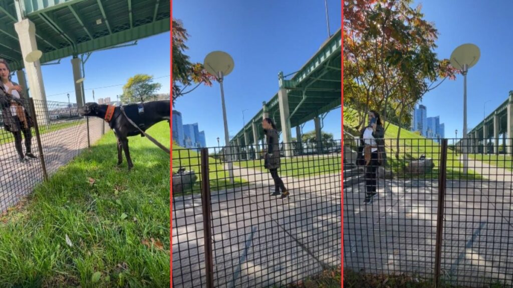 Deranged Karen Can’t Keep Her Coffee To Herself: ‘She’s Lost And Desperately Needs Her Medication’ Deranged Karen Can't Keep Her Coffee To Herself 'She's Lost And Desperately Needs Her Medication'