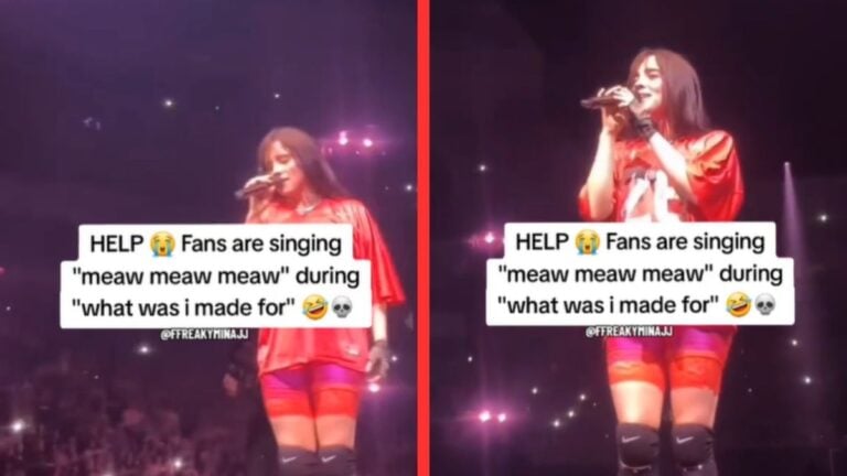 Fans Meow Along to What Was I Made For At Billie Eilish Concert: ‘She’s Trying So Hard Not To Laugh’ Fans Fans Meow Along to What Was I Made For At Billie Eilish Concert 'She's Trying So Hard Not To Laugh'