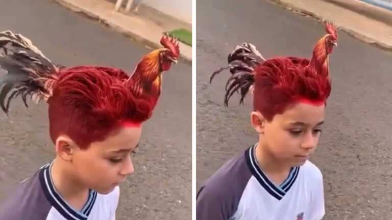 Kid Gets One of the Cockiest Hairstyles Ever, ‘He’s Gonna Get Roasted’ Kid Rooster Reddit