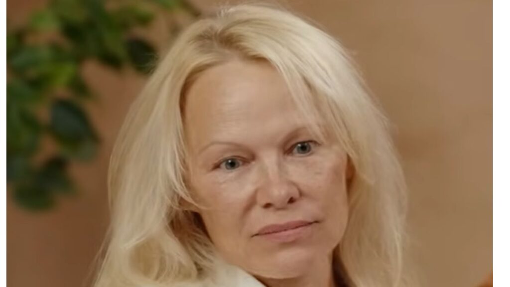 Pamela Anderson rejected an invitation to participate in the new Baywatch documentary.