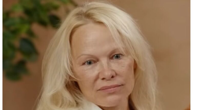 Pamela Anderson rejected an invitation to participate in the new Baywatch documentary.