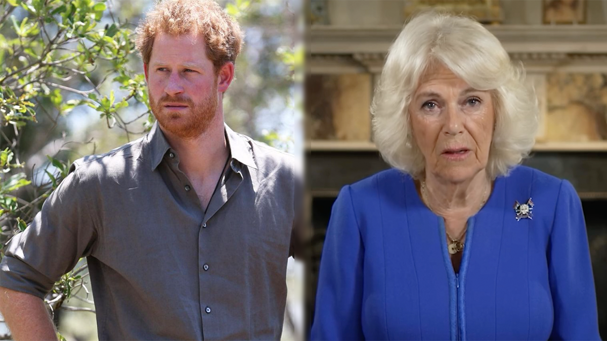 Prince Harry Is “Detaching Himself From Meghan Markle,’ but Queen Camilla Believes He’s Still a ‘Wolf in Sheep’s Clothing’