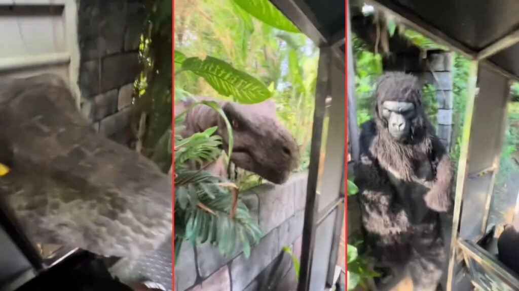 Viral Video Shows Insane Dinosaur-Themed Amusement Park Ride 'Bruh That Gorilla Punch Was Personal'