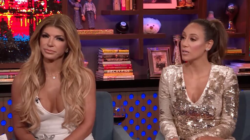 Teresa Giudice Bashes Melissa Gorga After Revealing She Will Never Work With Her Again: ‘Not Doing It’ Melissa Gorga and Teresa Giudice on WWHL.