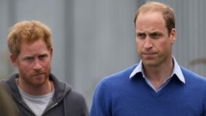 Prince William and Prince Harry at an event.