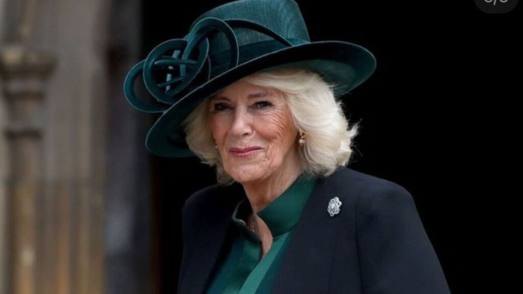 Queen Camilla Has a Special ‘Companion’ to Help With Bathroom Duties During Royal Visits Queen Camilla has a special companion on her royal entourage to help bathroom duties.