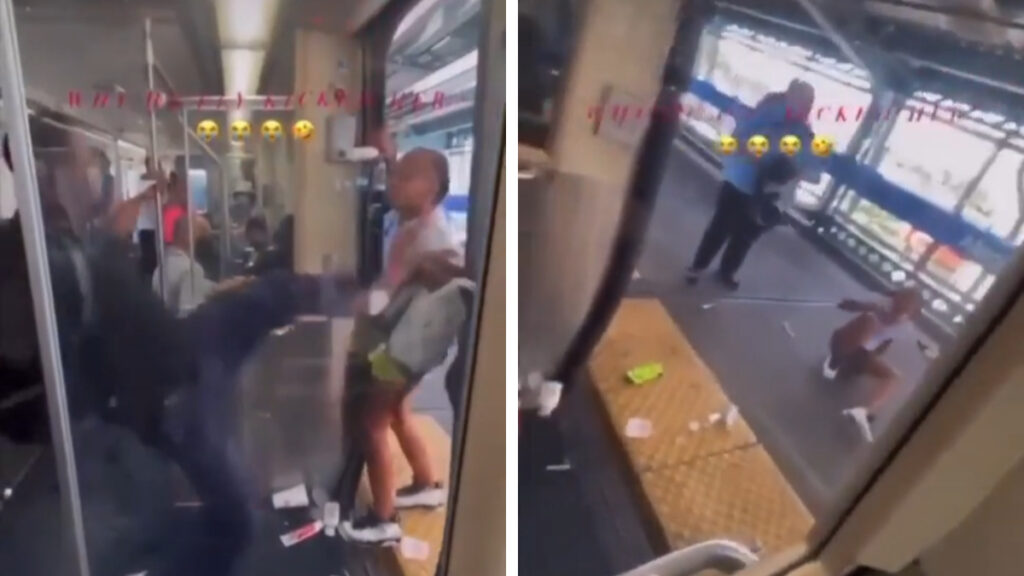Man Kicks Woman Who Was Holding Up a Train in Philadelphia: ‘I Can Hear the Sonic Rings’ Man Kicks Woman in Philly Train
