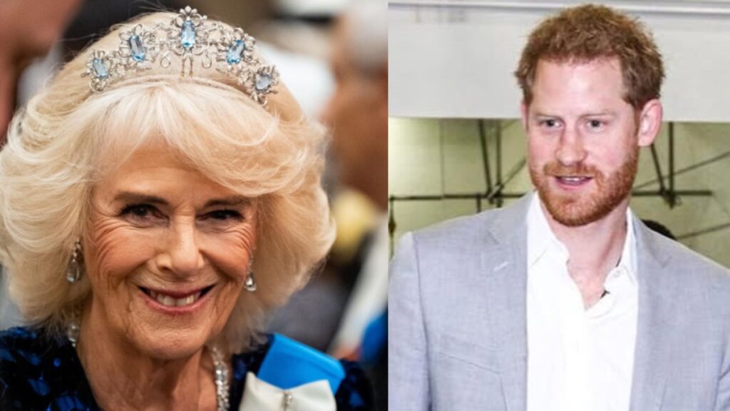 Queen Camilla’s Shrewd Past Overshadowed By Prince Harry’s ‘Outcast’ Persona Within the Royal Family as They Switch Roles: ‘The Way They Used Harry’ Queen Camilla and Prince Harry photo merge.